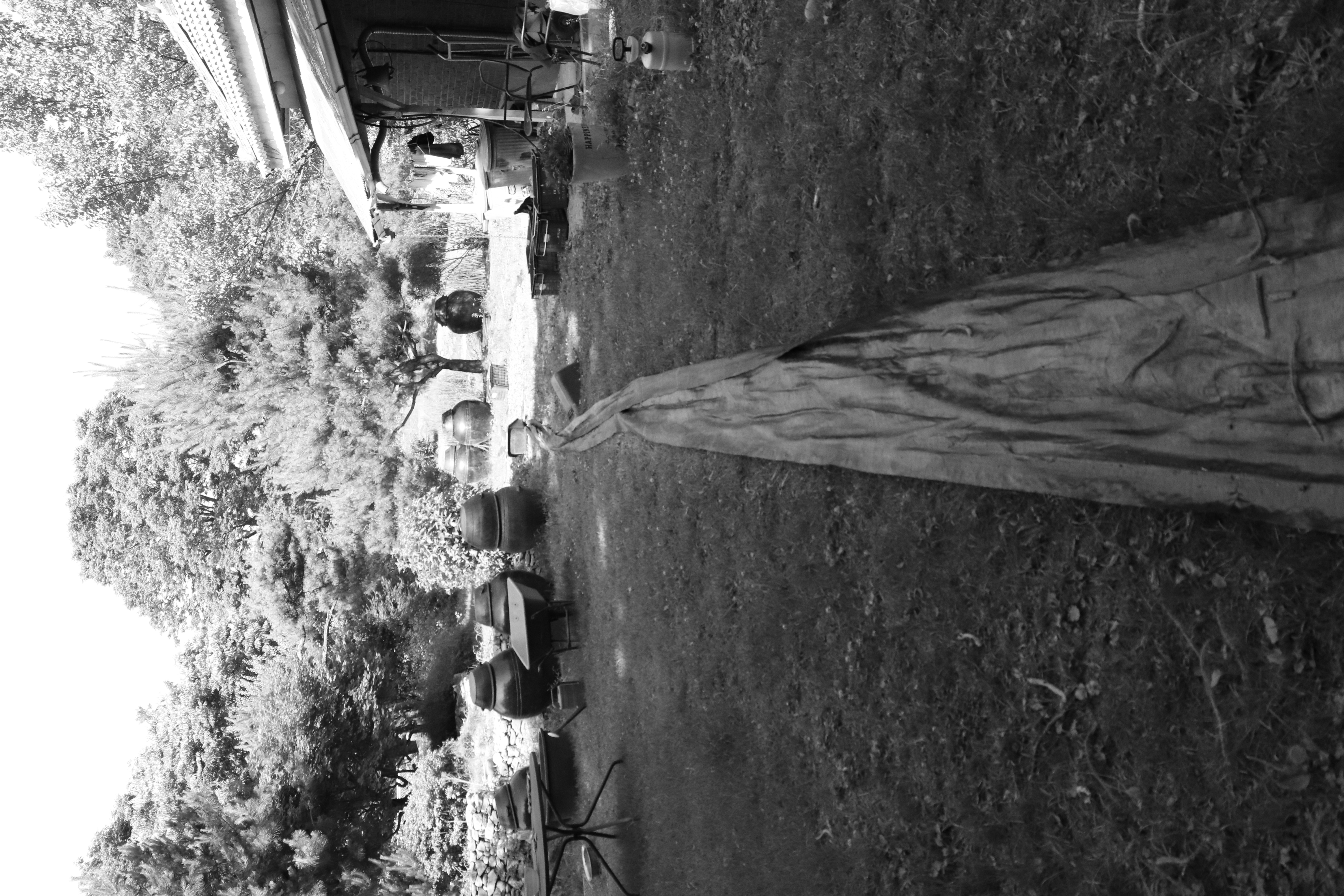 남양주 뒷마당과 긴 천. 흑백사진.
